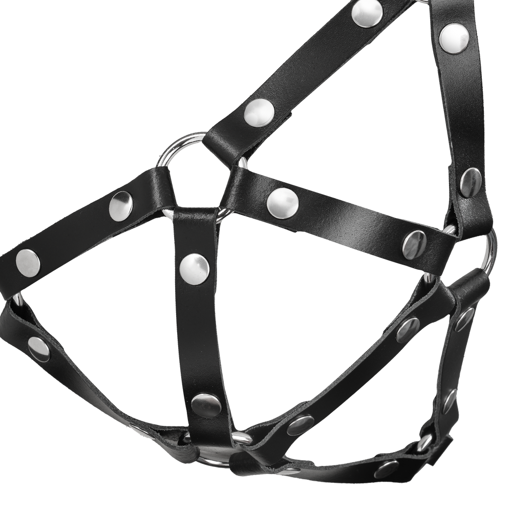 5: Rimba Bondage Play - Leather Chest Harness - Black