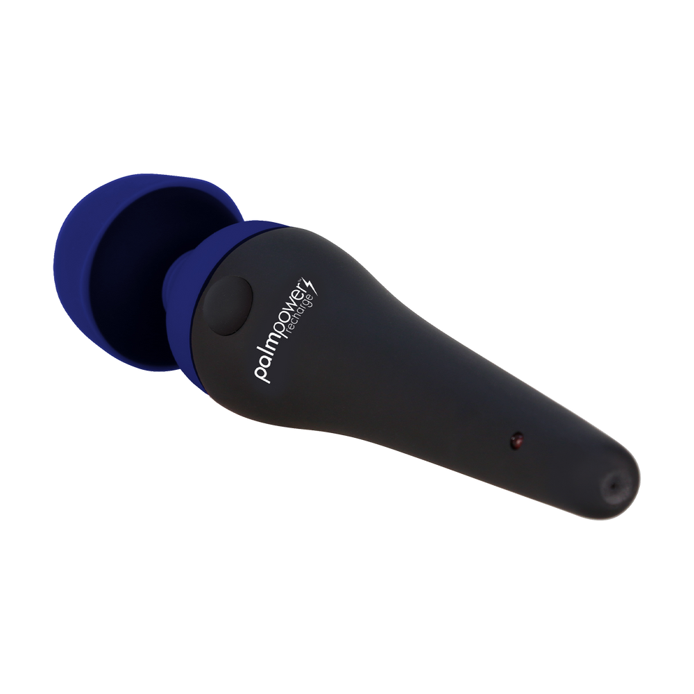 3: PalmPower – Recharge Wand Massager – Schwarz/Blau