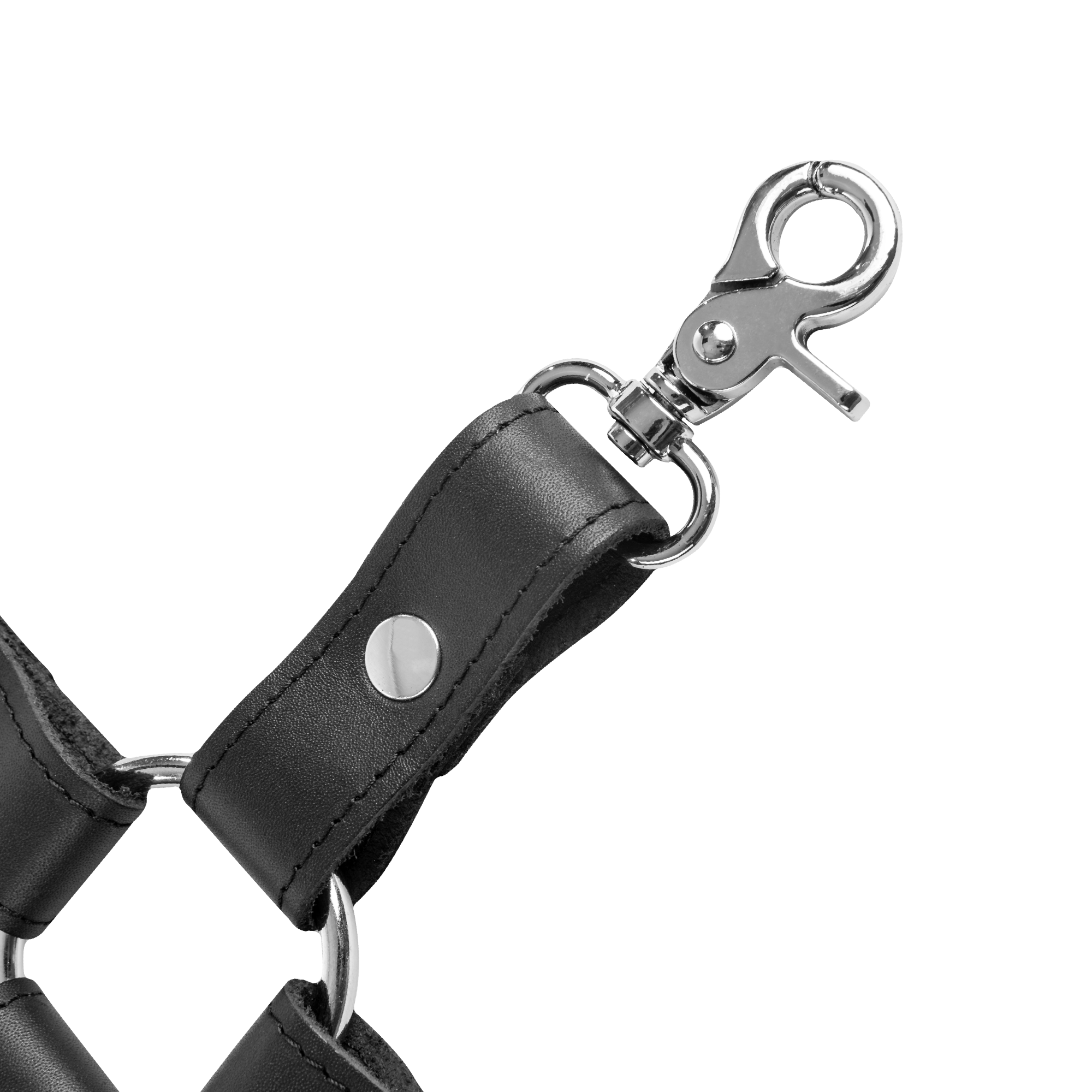 5: Rimba - Hogtie mit 4 Haken