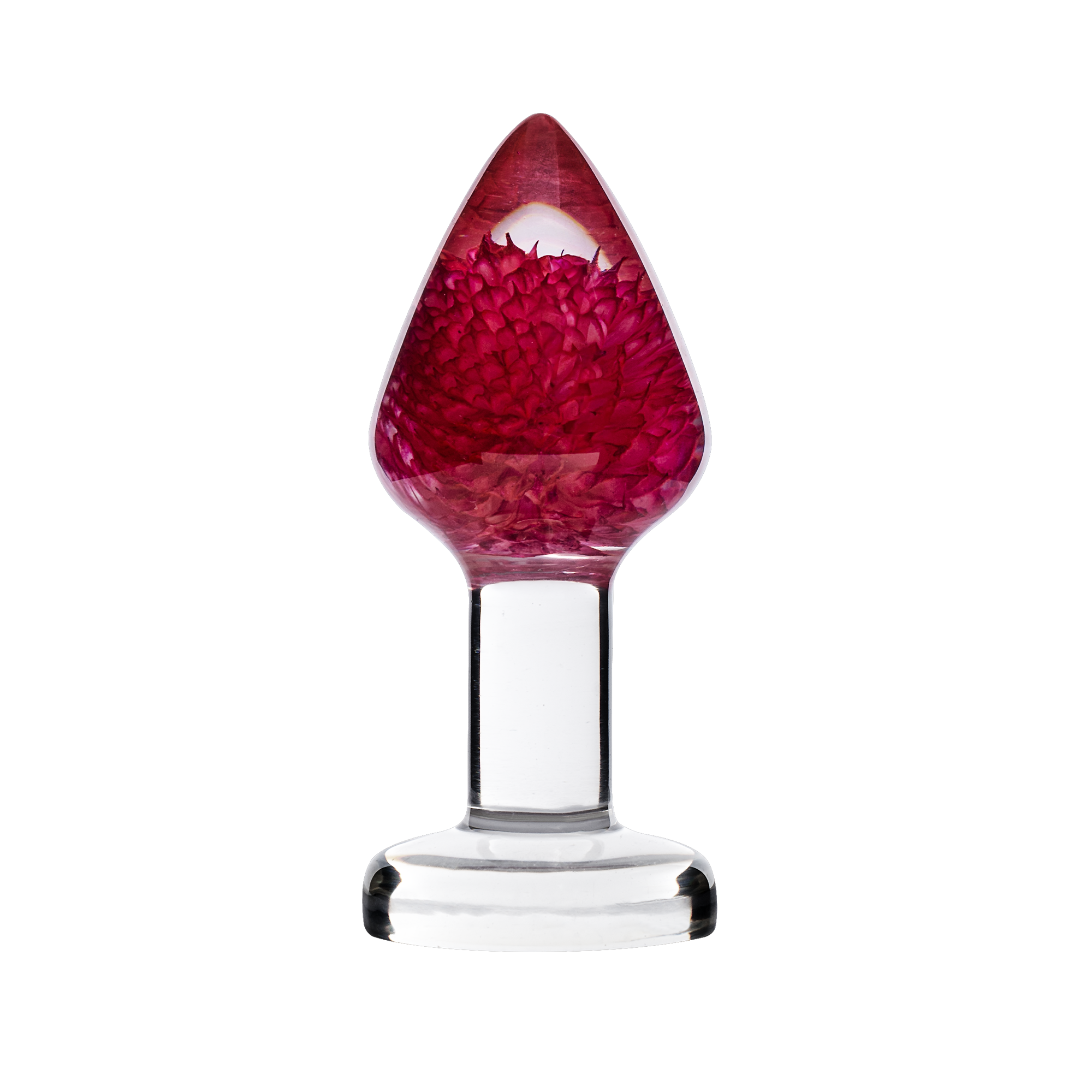 LOVISS – Gomphrena Globosa – Gartenblumen-Analplug – Transparent