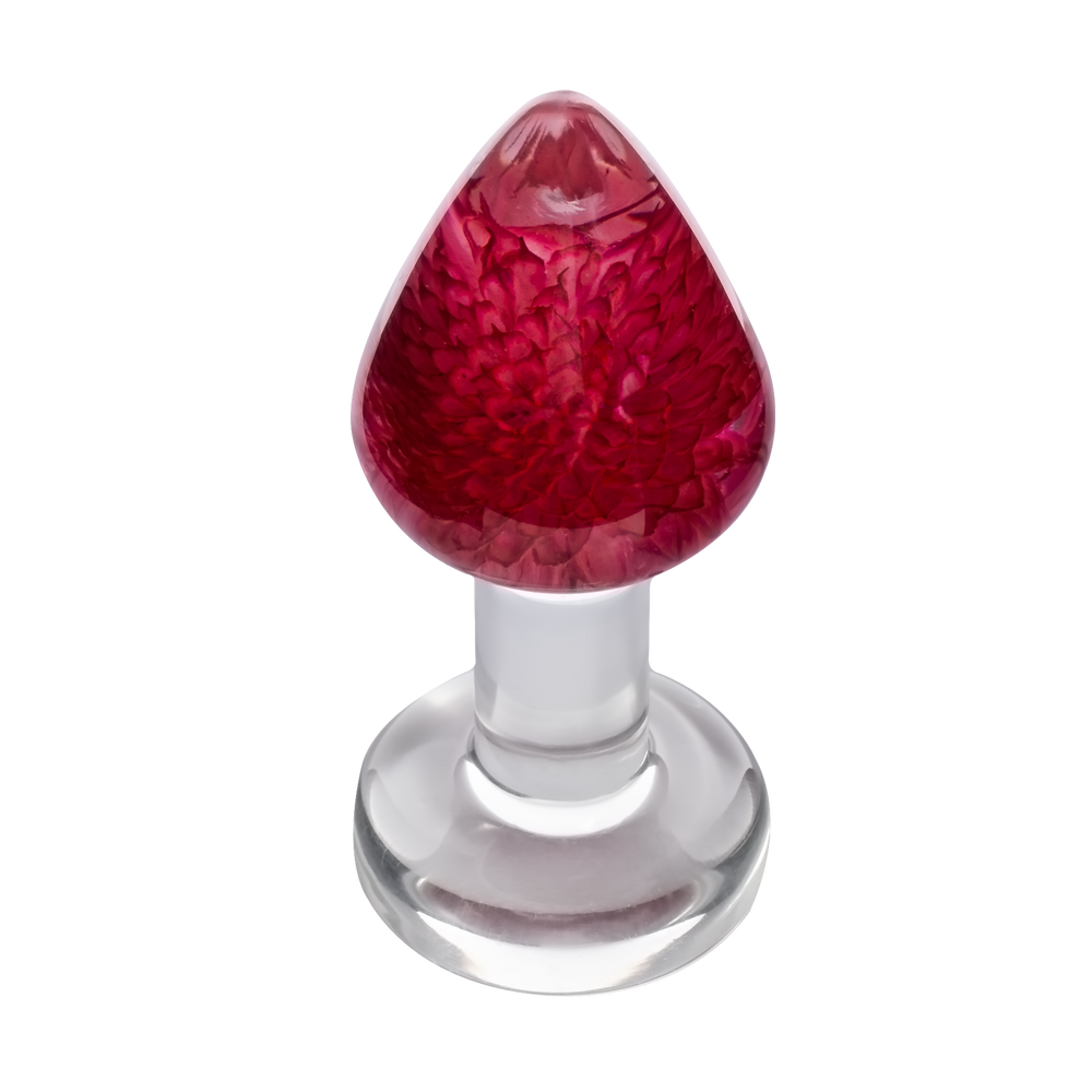 LOVISS – Gomphrena Globosa – Gartenblumen-Analplug – Transparent