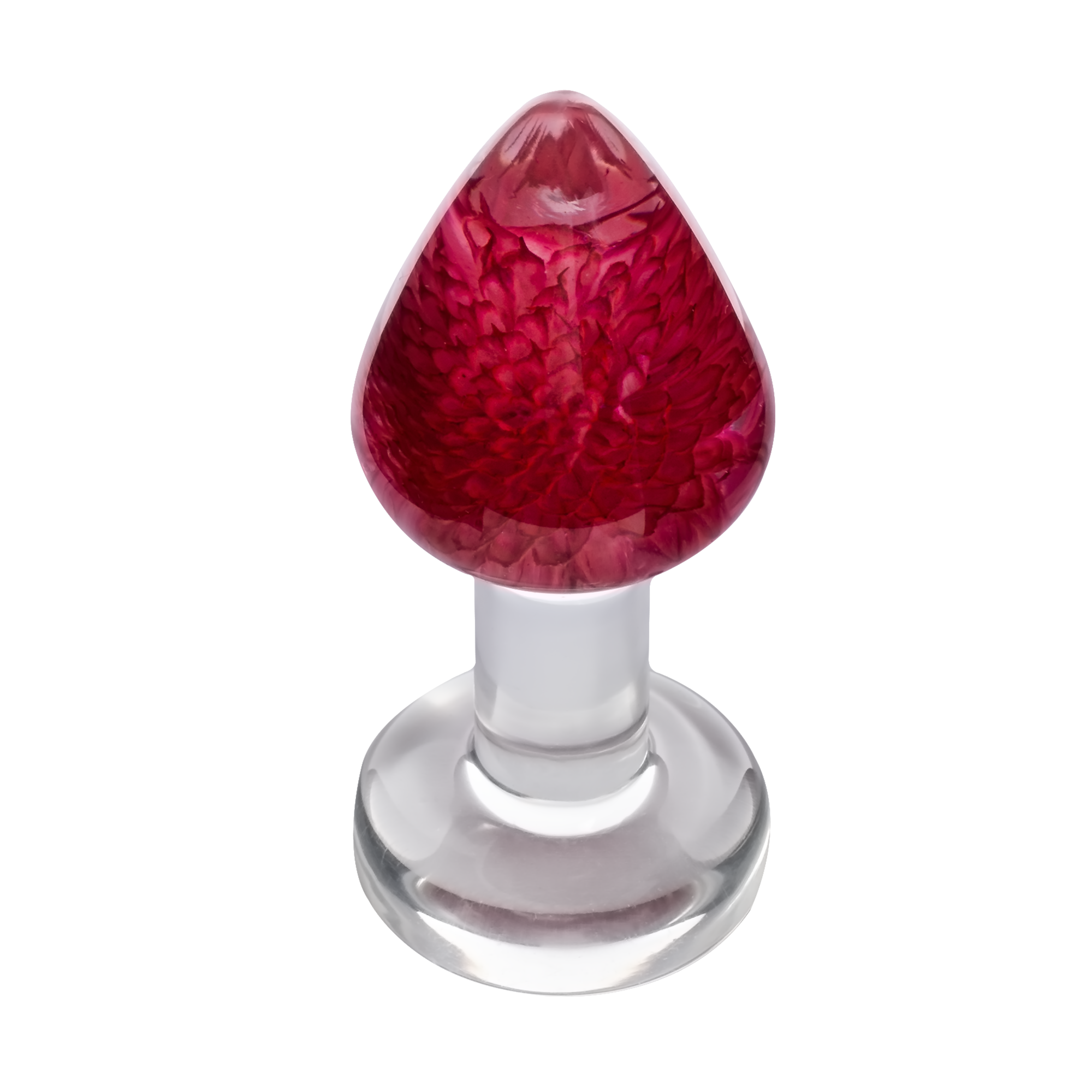 LOVISS – Gomphrena Globosa – Gartenblumen-Analplug – Transparent