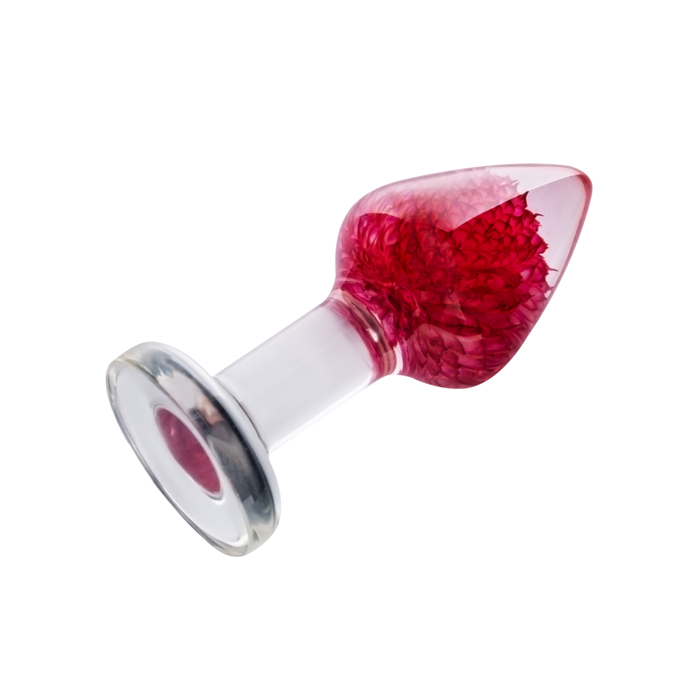 LOVISS – Gomphrena Globosa – Gartenblumen-Analplug – Transparent