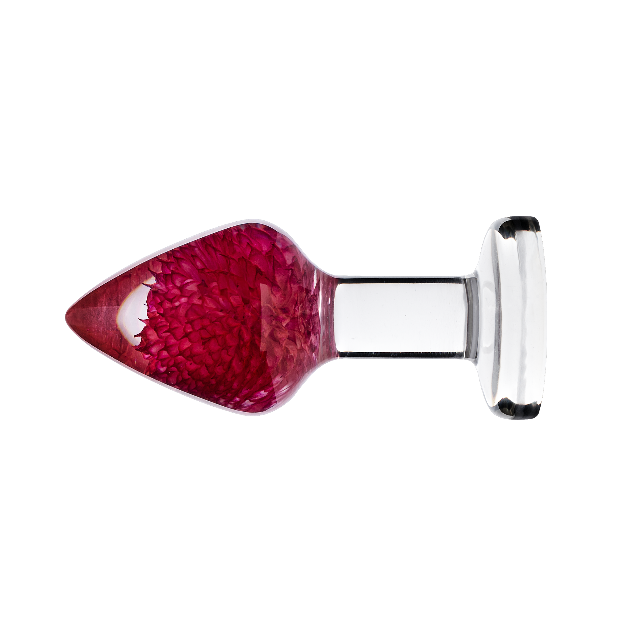 LOVISS – Gomphrena Globosa – Gartenblumen-Analplug – Transparent