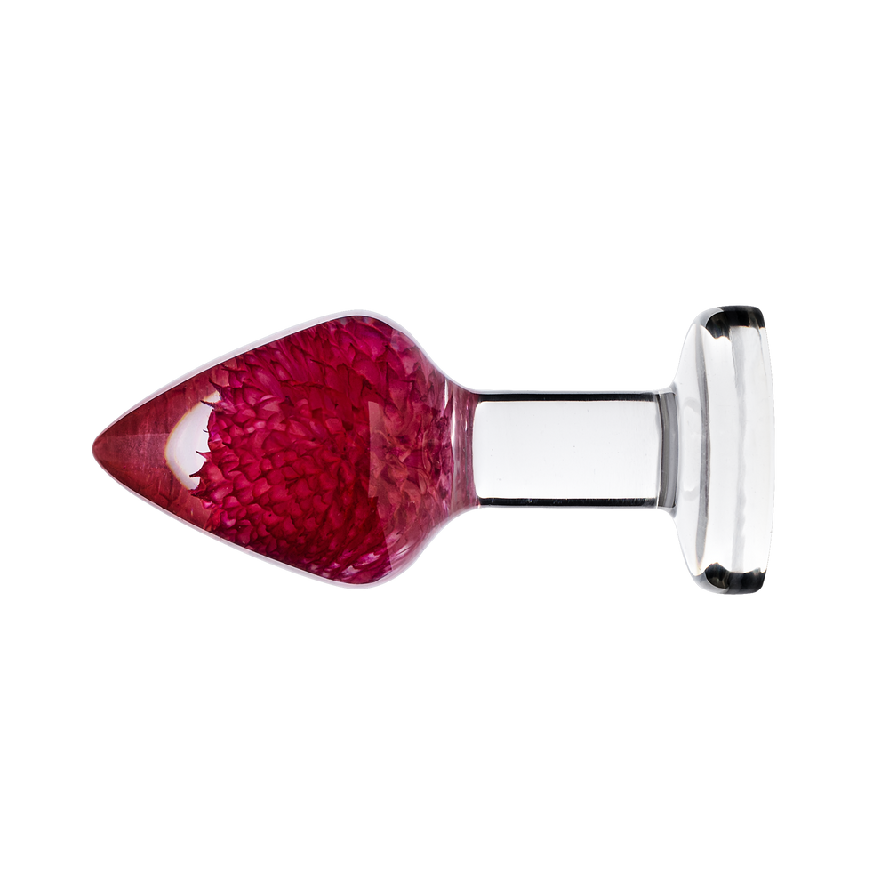 LOVISS – Gomphrena Globosa – Gartenblumen-Analplug – Transparent