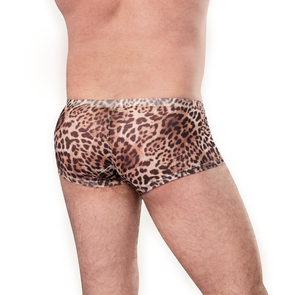 Amorable by Rimba – Transparente Leoparden-Shorts