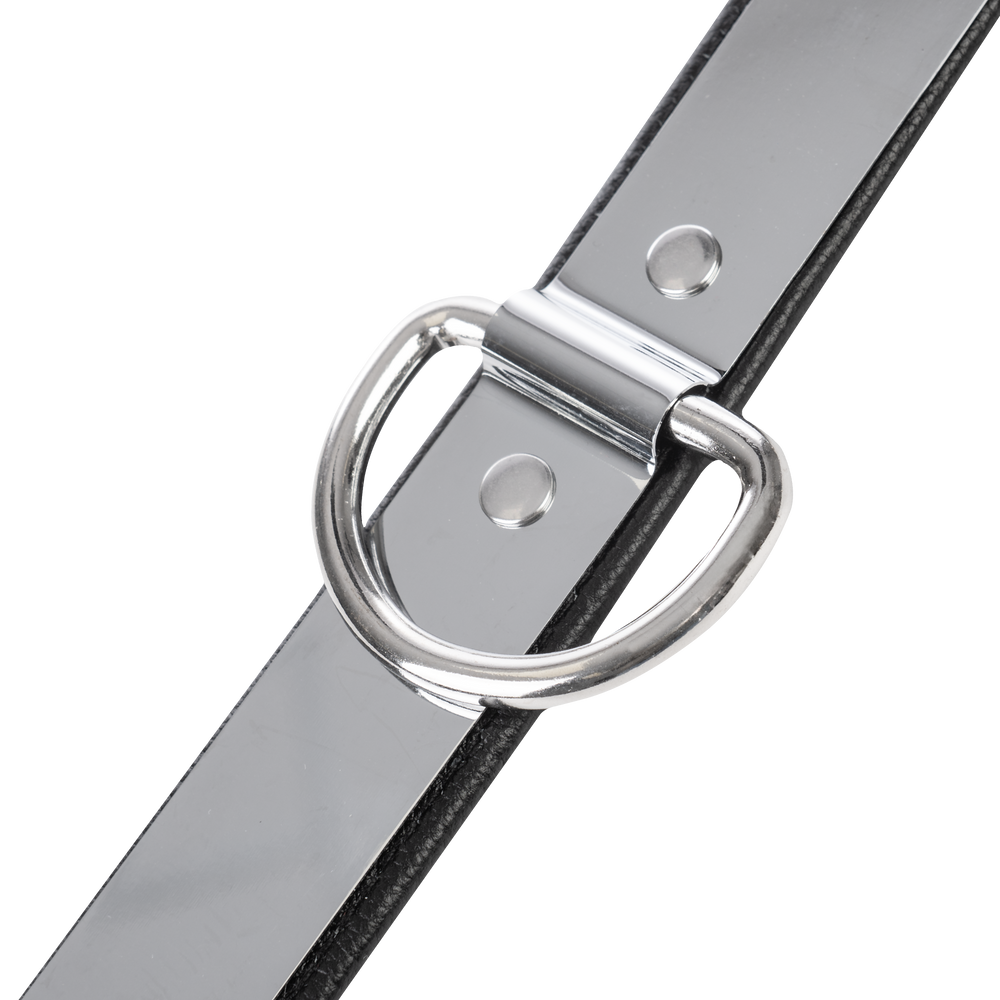 4: Rimba - Leder halsband mit metal und  Vorhängeschloss
