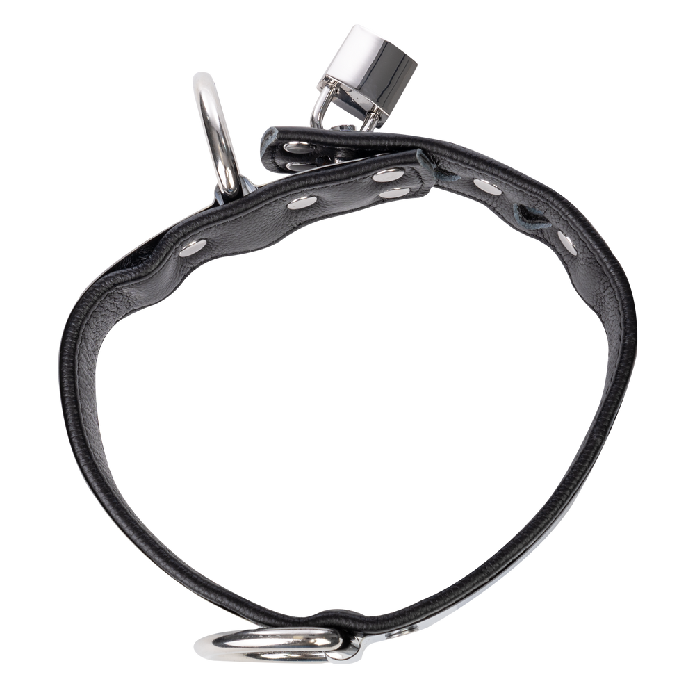 6: Rimba - Leder halsband mit metal und  Vorhängeschloss