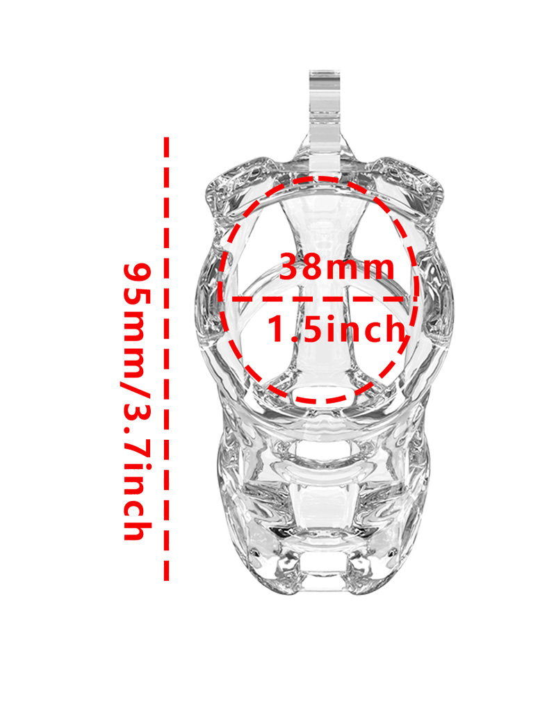 5: Rimba P-Cage - P- Cage PC11 - Peniskäfig Größe M - Transparent