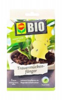Compo Bio Trauermückenfänger, 5 Stück