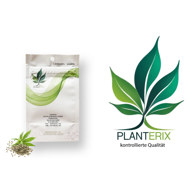 Planterix Black Domina x Og Kush 5 Samen