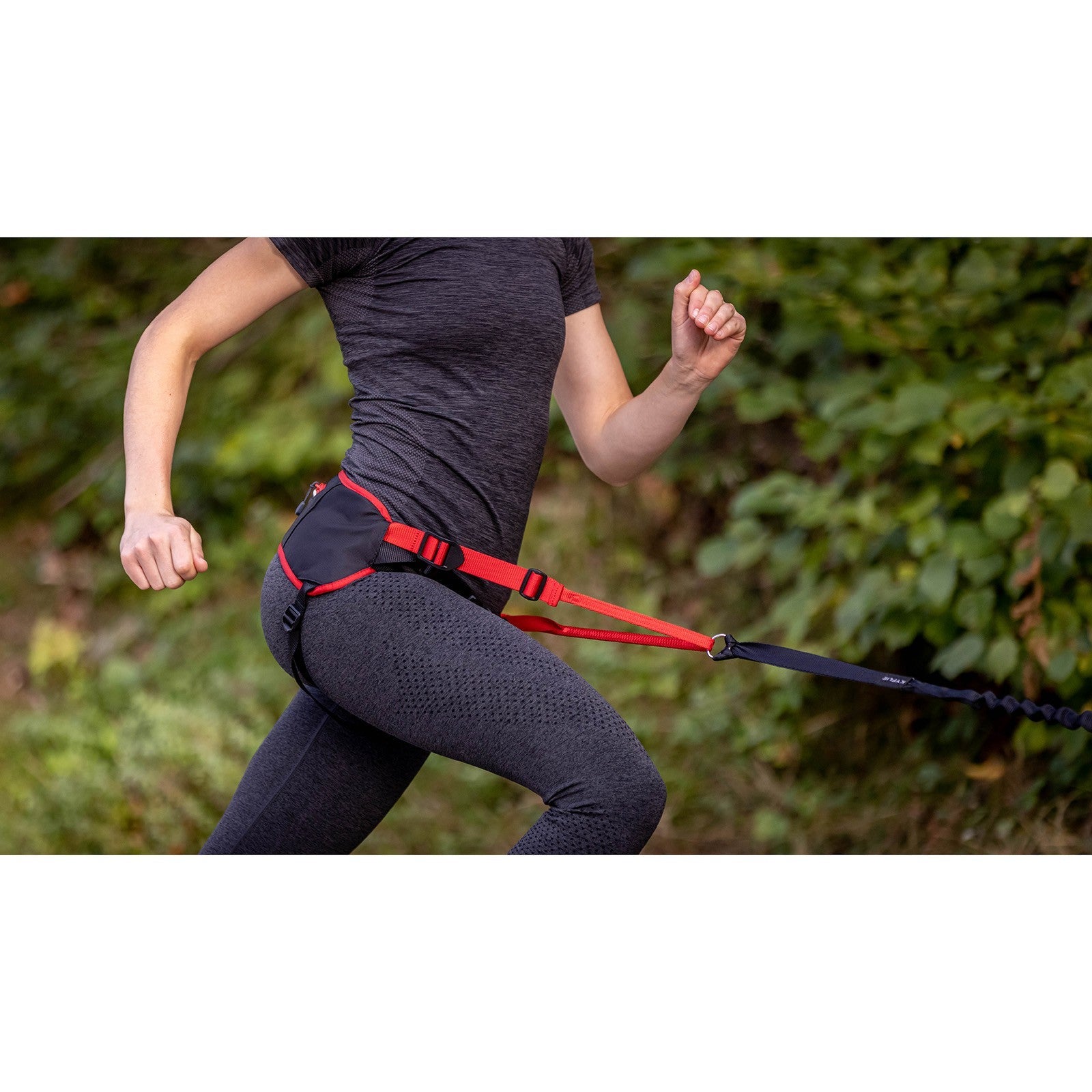KYFLIE BRUSTGESCHIRR LUDUS PERFORMANCE T2