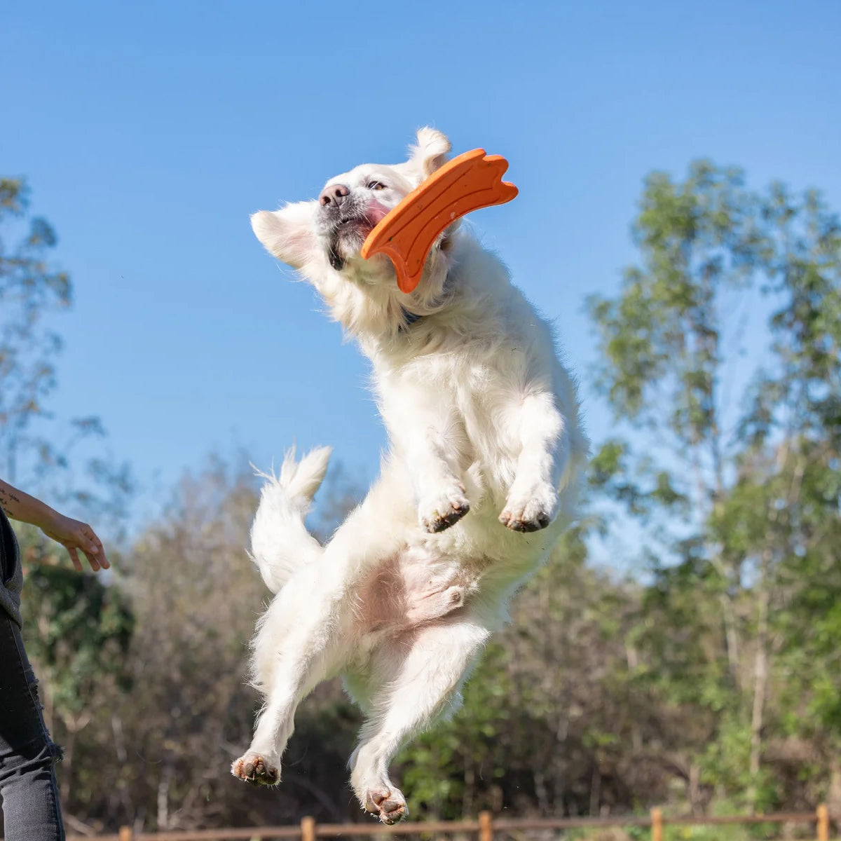 ULTRA FLYING SQUIRREL