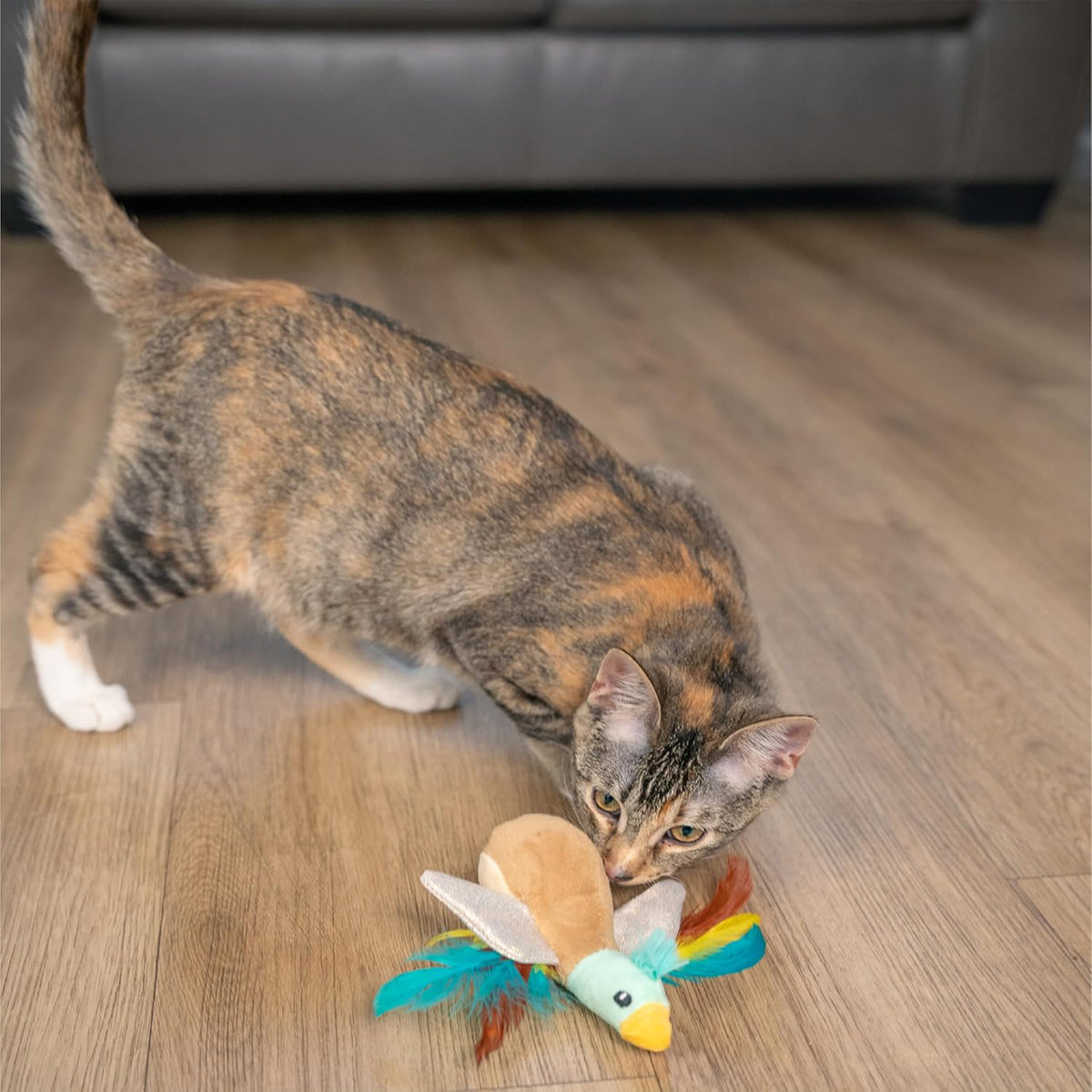 CATSTAGES FLAPPERZ DUCK BRN