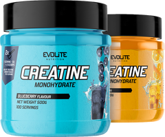 Evolite Creatine Monohydrate - 500 g