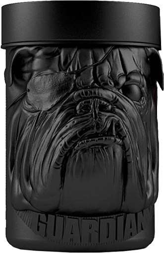 Zoomad Caretaker BCAA - 480 g