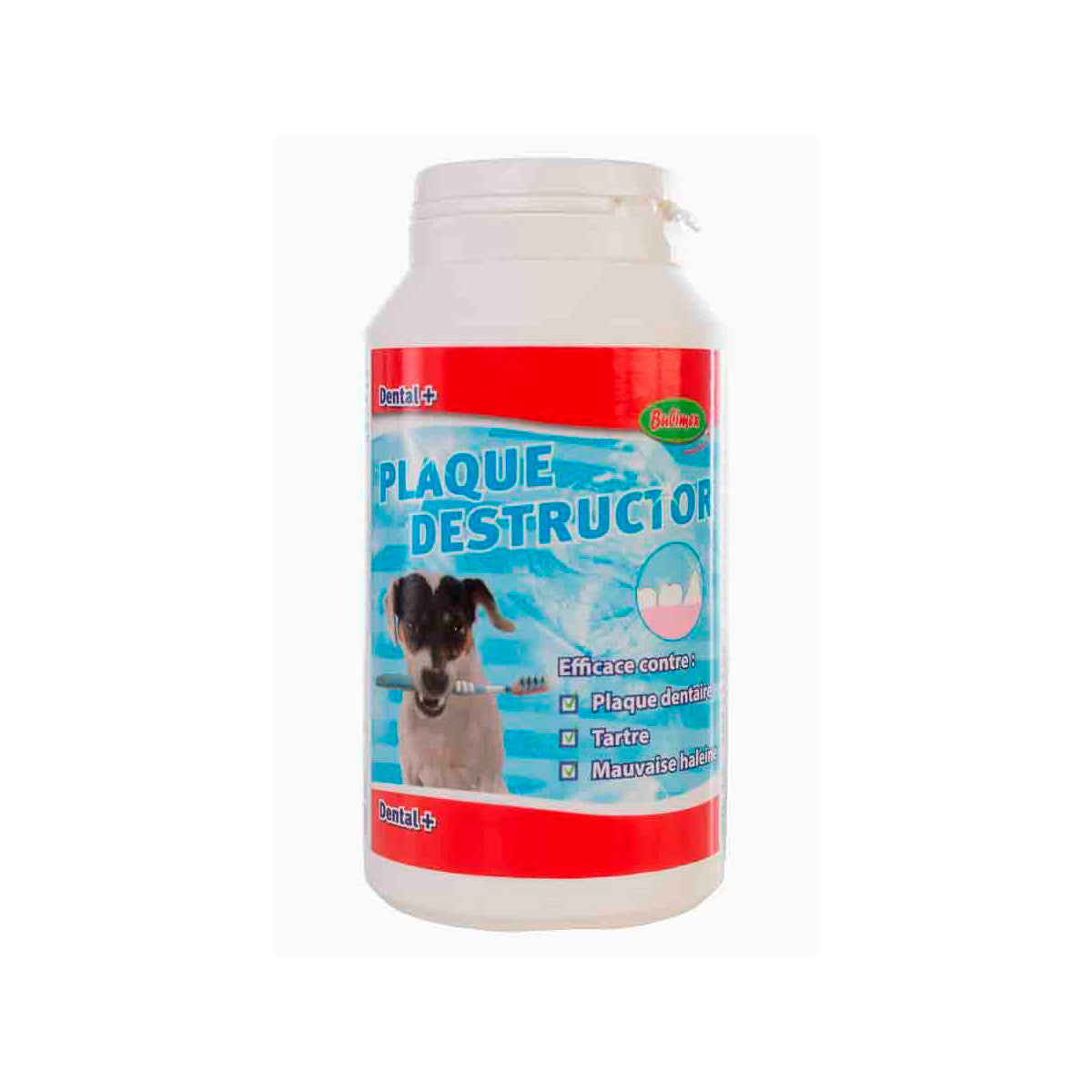 ZAHNSTEINENTFERNER DENTAL + 160 G