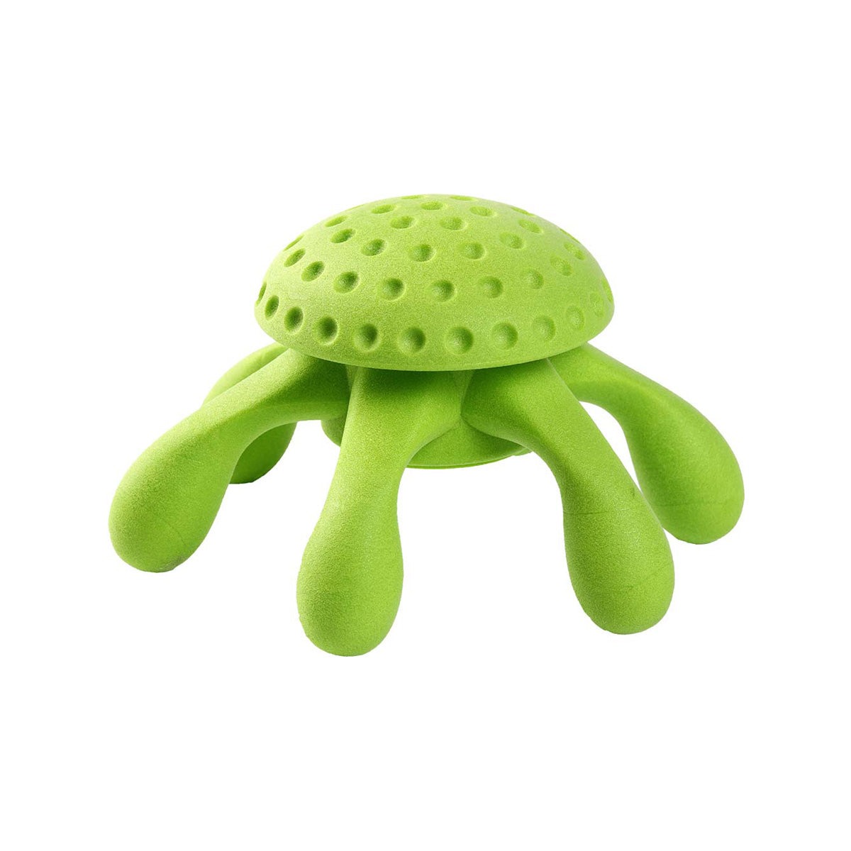 KIWI OCTOPUS GRUEN M