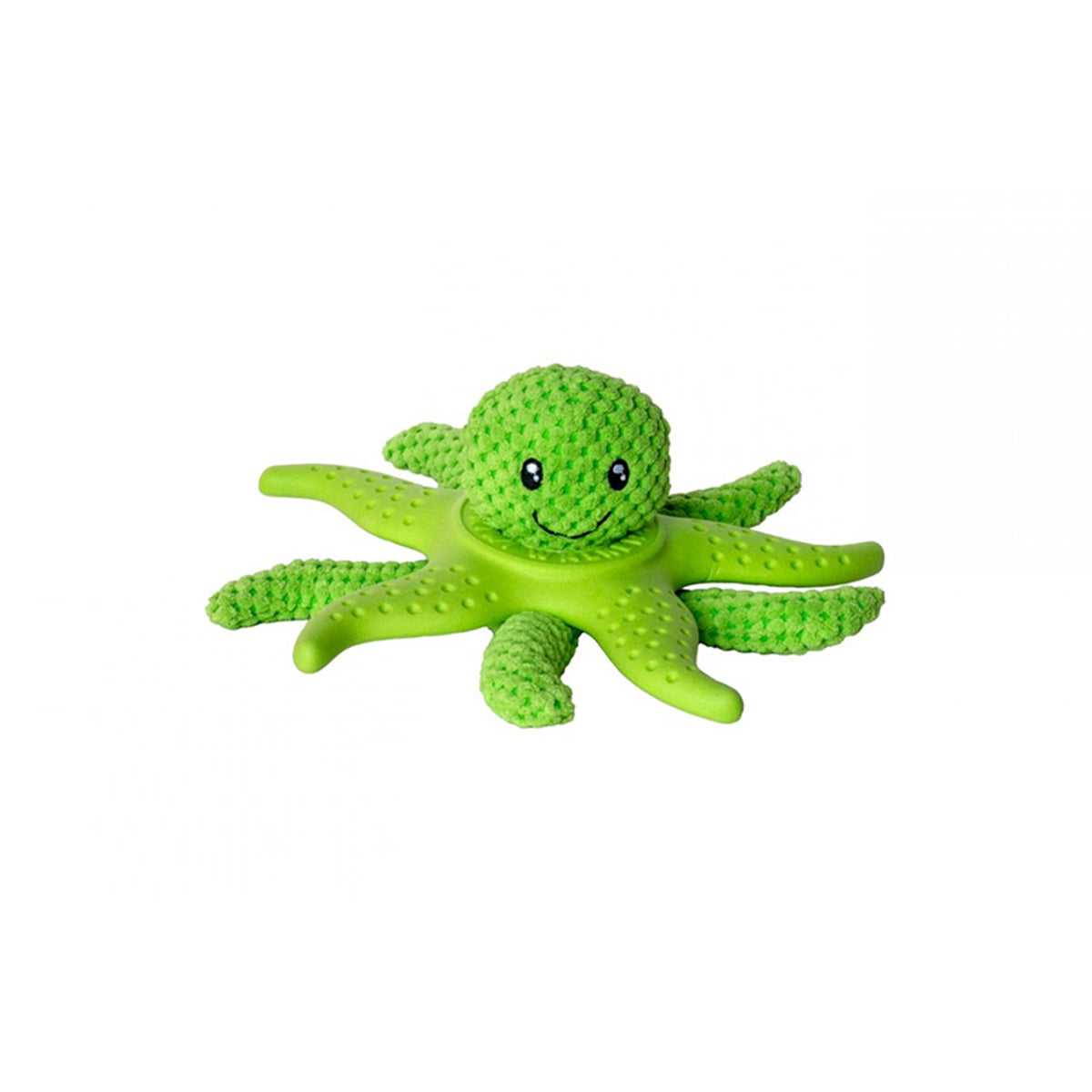 KIWI-KRAKEN &amp; GRÜNER SEESTERN