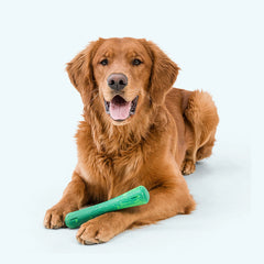 DRIFTY LARGE GREEN WEST PAW