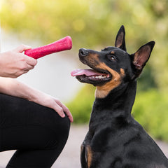 DRIFTY SMALL RED WEST PAW