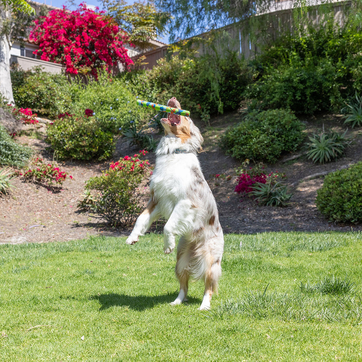 RECYCELTER ULTRA-FETCH-STICK