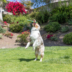 RECYCELTER ULTRA-FETCH-STICK