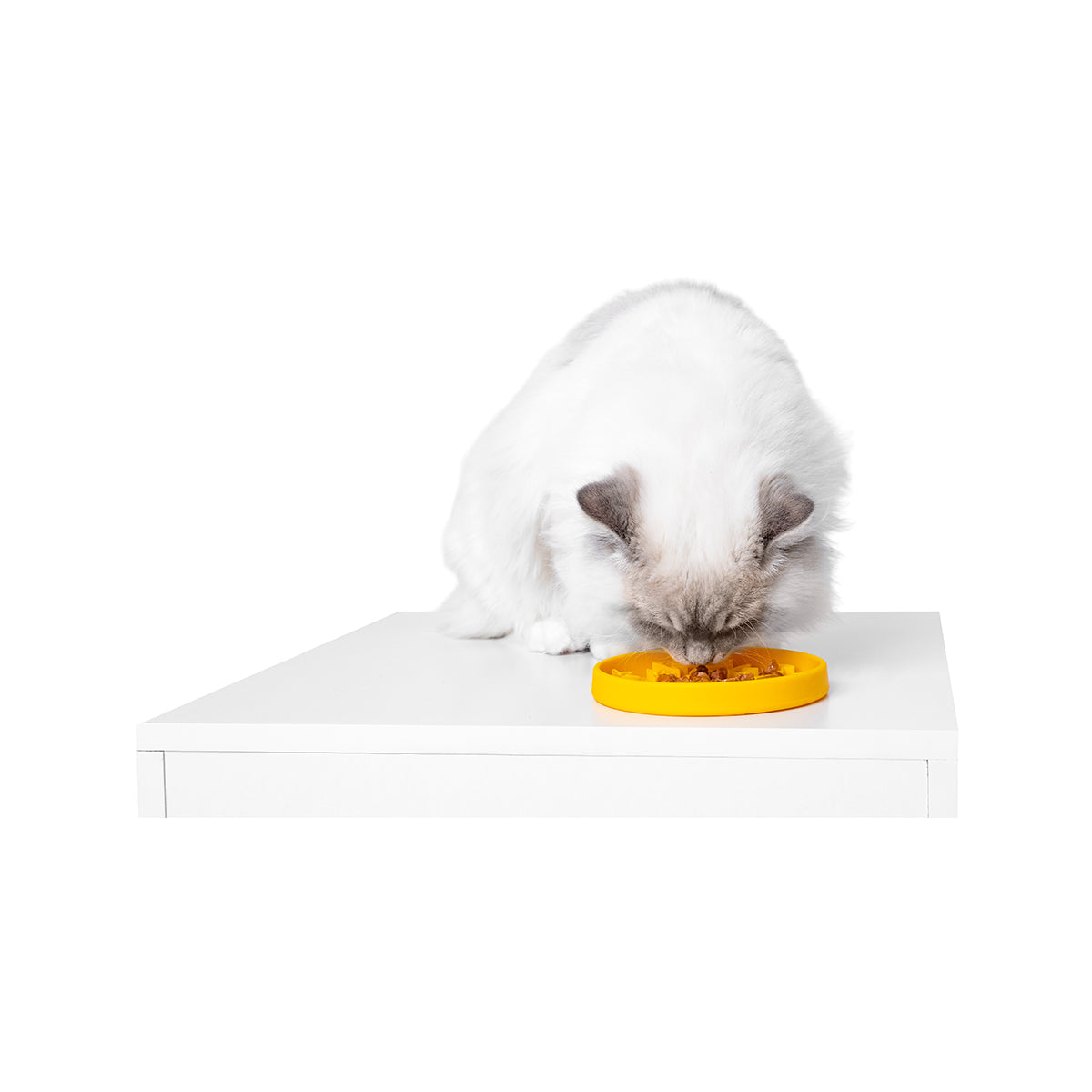 KIWI NAPF ANTI-VIELFRASS PAW MINI ORANGE