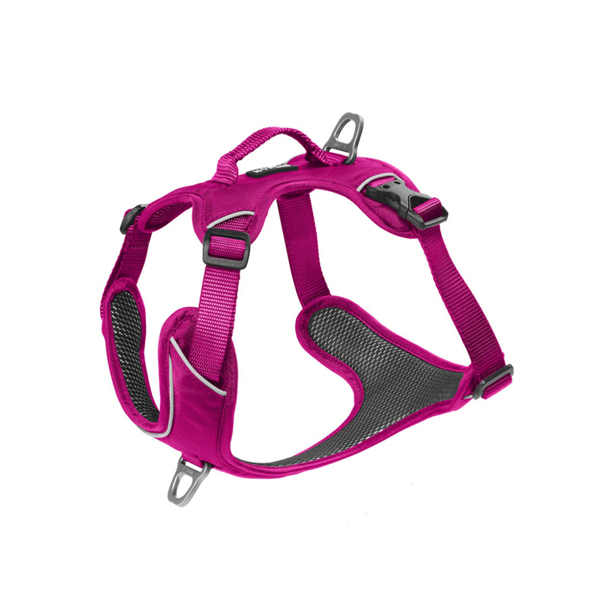 KYFLIE GESCHIRR MOMENTUM M ROSA