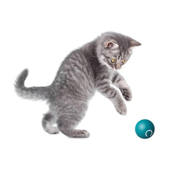 EASY PET INTERAKTIVER BALL