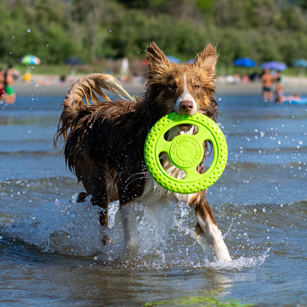 KIWI FRISBEE GRUEN M