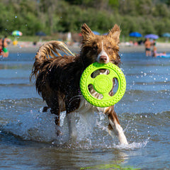 KIWI FRISBEE ORANGE M