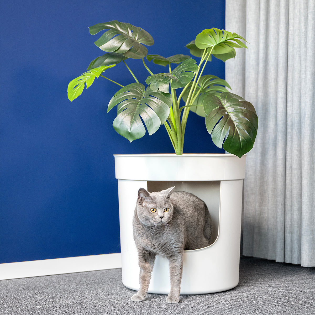 VERSTECKTER PFLANZER
