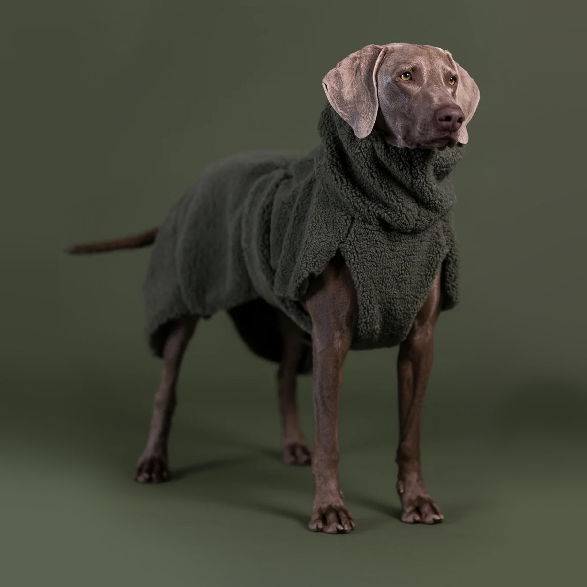 PAIKKA CHEMISE SHERPA OLIVE 80