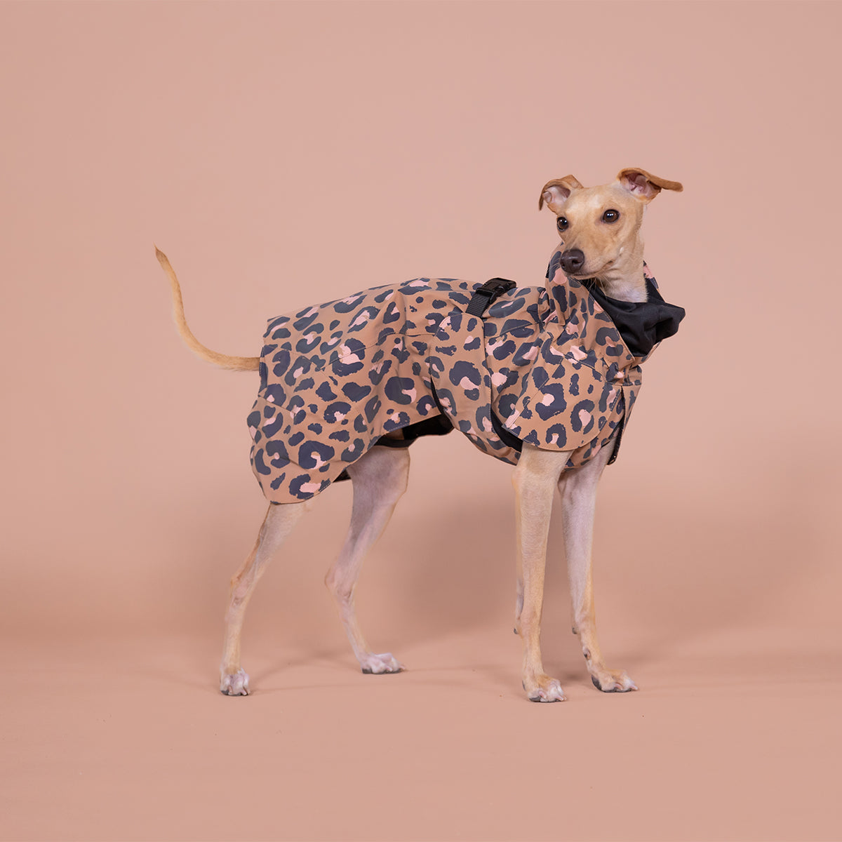 PAIKKA REGENMANTEL VISIBILITY LITE BEIGE LEOPARD 40