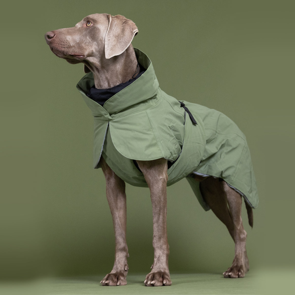 PAIKKA WINTERJACKE VISIBILITY GRÜN 70