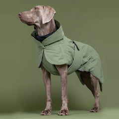 PAIKKA WINTERJACKE VISIBILITY GRÜN 65