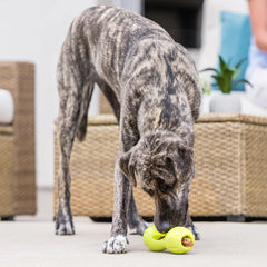 QWIZL SMALL 14.5 CM BLUE WEST PAW