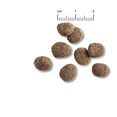 FINEST LIGHT 4 KG BELCANDO