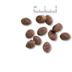 PUPPY GF POULTRY 12,5 KG BELCANDO