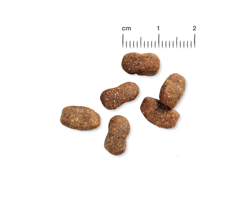 JUNIOR GF POULTRY 12,5 KG BELCANDO