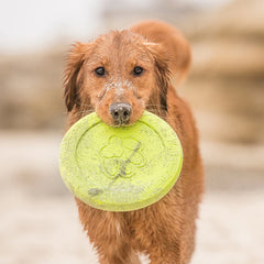 ZISC MINI 16 CM RUBY WEST PAW