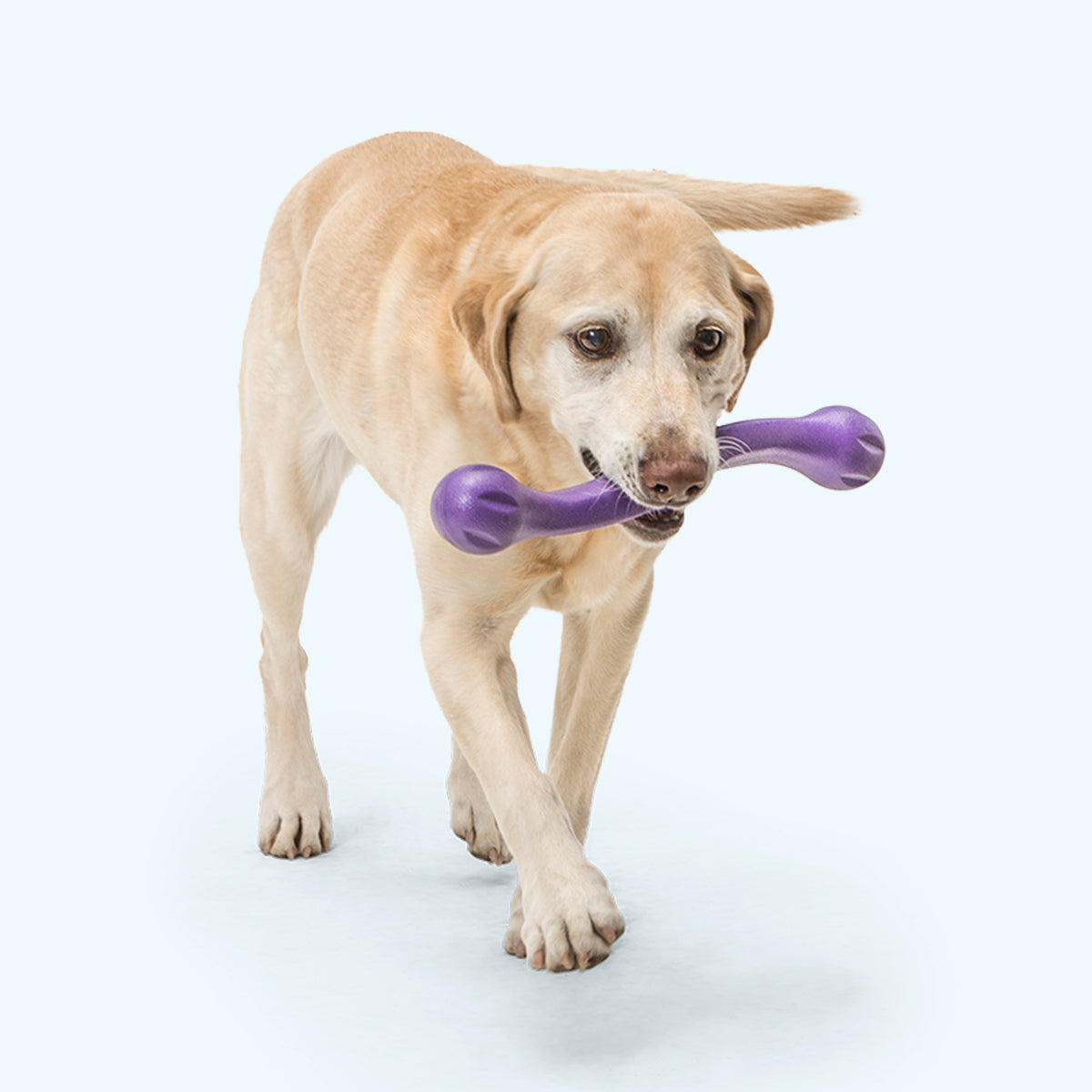ZWIG GREEN WEST PAW