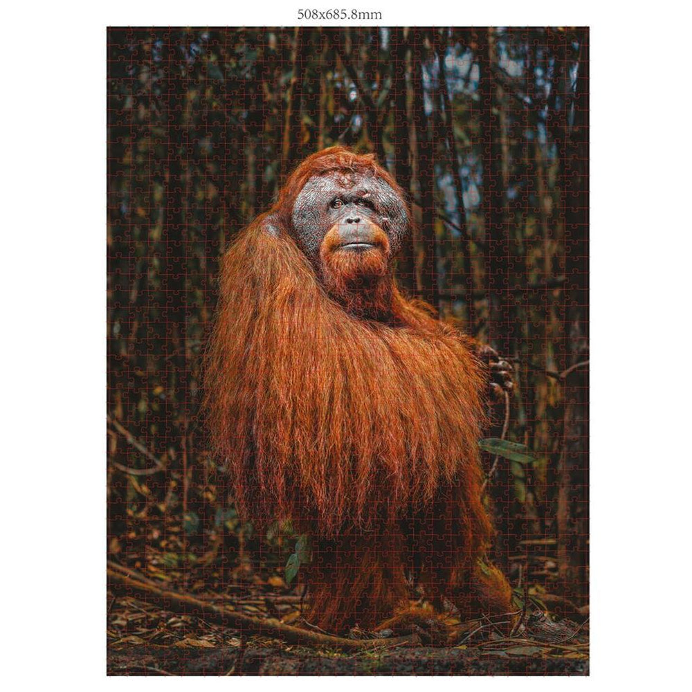 Ambassador Orang-Utan 1000 Teile (Donal Boyd)