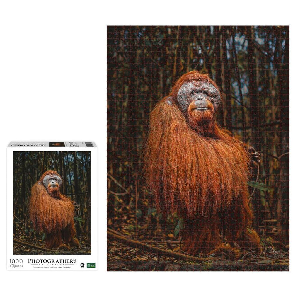 Ambassador Orang-Utan 1000 Teile (Donal Boyd)