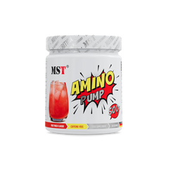Amino Pump 500 g Fruit Punch