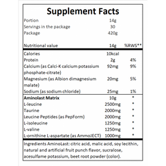 Aminolast - 420g - Fruit Punch