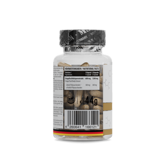 Chaga Mushroom 1200 mg 60 Kapseln