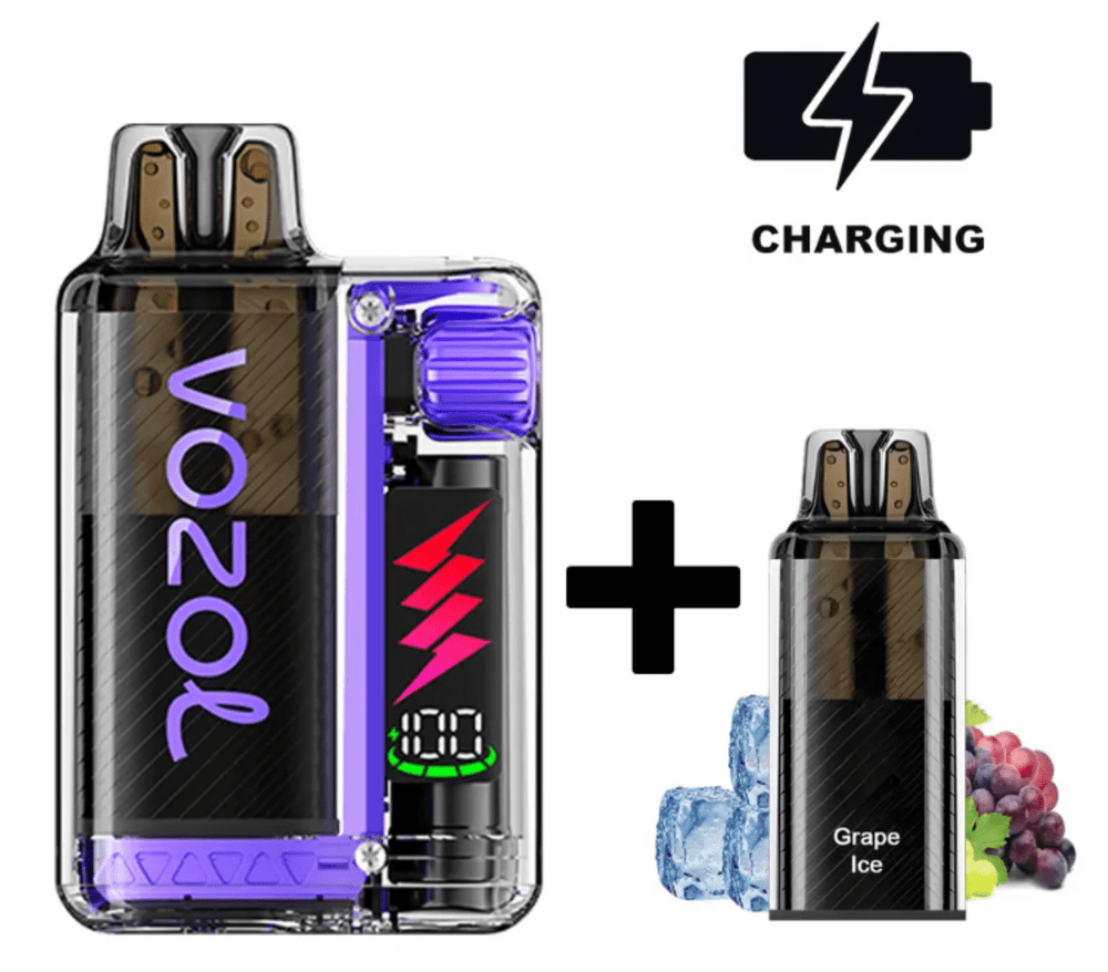 VOZOL VISTA PLUG  Starter Kit 20mg/ml - Grape Ice