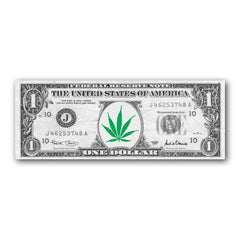 Filter Dollarnote (40 Stk.)